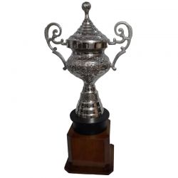WInner Trophy