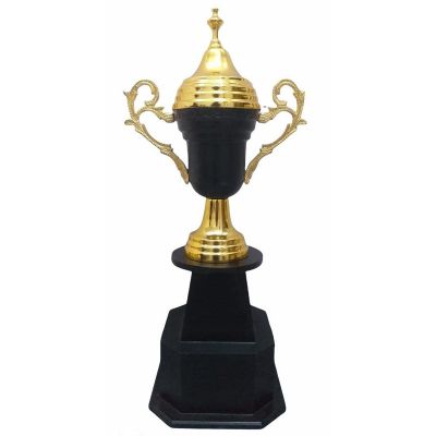 WInner Trophy