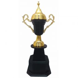 WInner Trophy