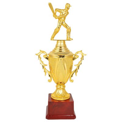 WInner Trophy