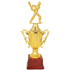 WInner Trophy