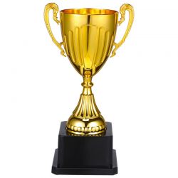 Winner Trophy