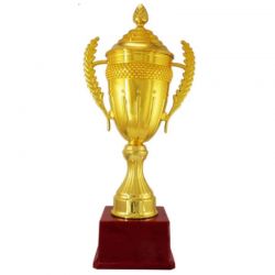 Winner Trophy
