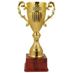 Winner Trophy